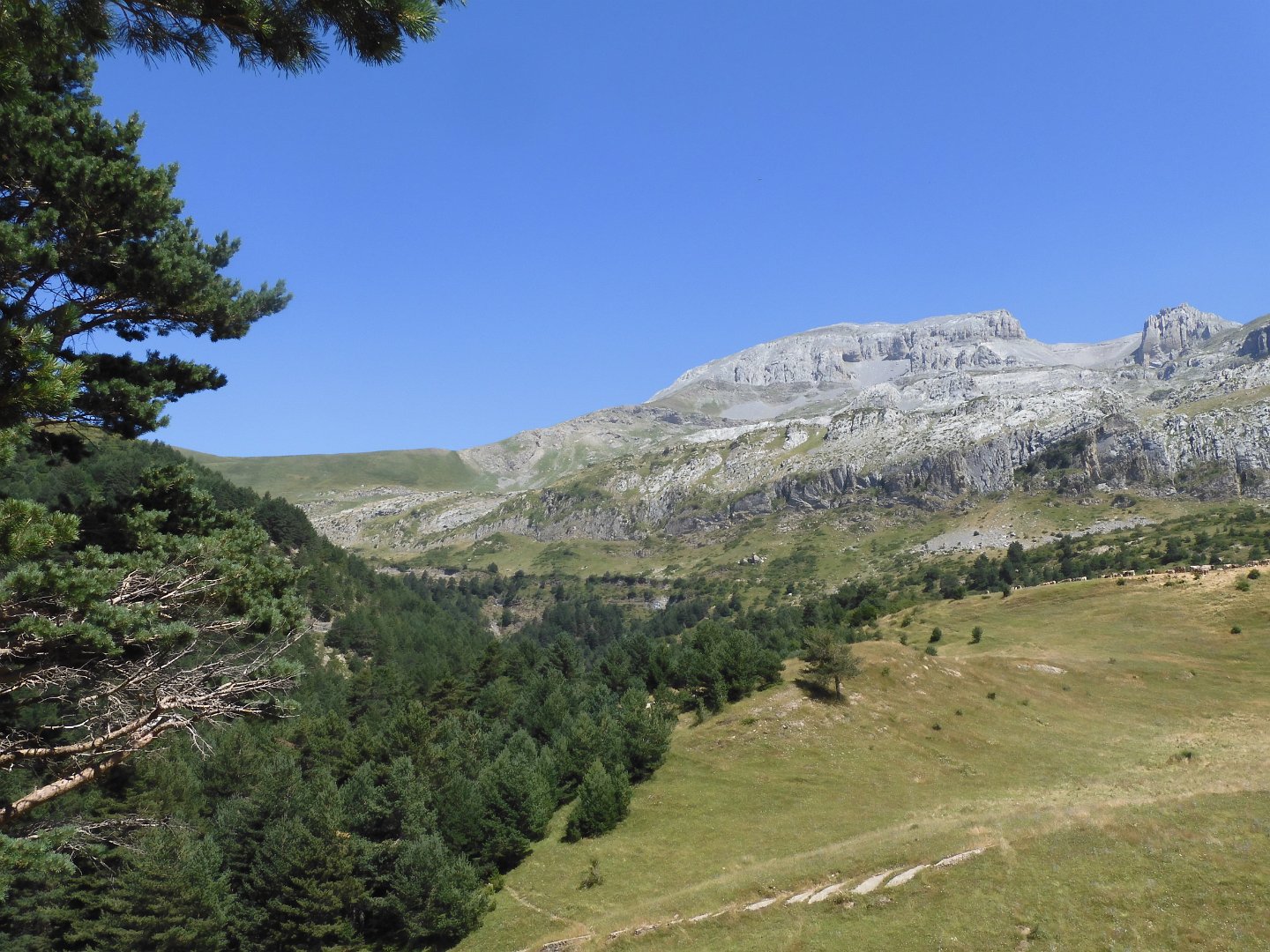 Picos-PIrineos_1_2023 1094
